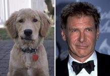 20 animais que são extremamente idênticos as celebridades famosas