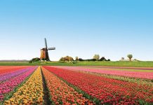 Os lugares mais coloridos e belos do mundo