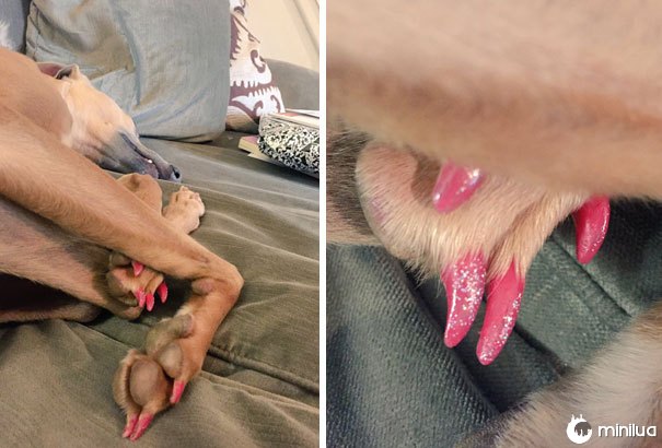 Quando seu filho e seu cão desaparecem lá em cima por uma hora, você deve ser totalmente suspeito
