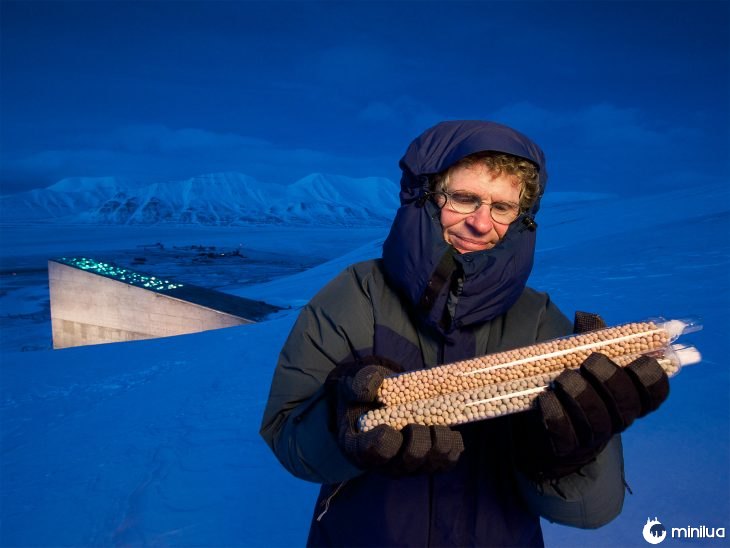 sementes conservadores em Svalbard