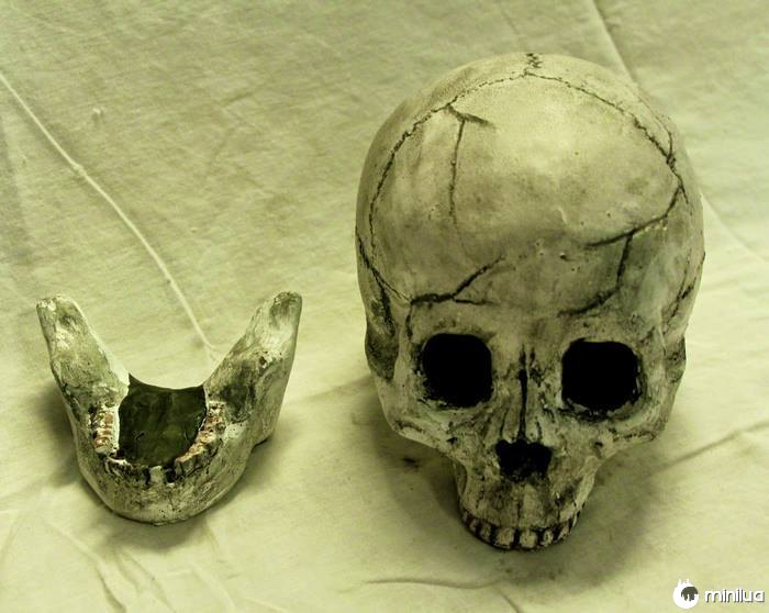 Skull-fire-pit-formação-criações-10