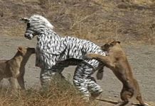 15 pessoas que com certeza estão mortas agora