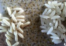 Você pode estar consumindo arroz de plástico. Aprenda aqui a identificar