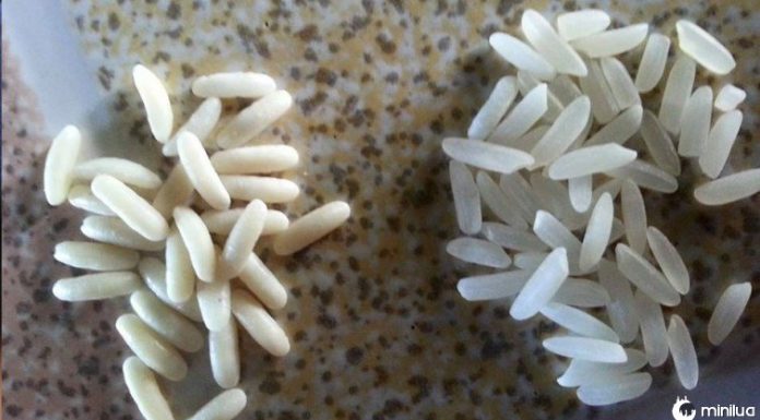 Você pode estar consumindo arroz de plástico. Aprenda aqui a identificar