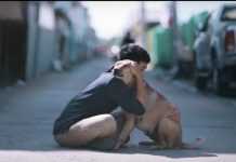 Essa é a reação de um cachorro de rua ao ser abraçado por uma pessoa desconhecida