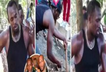 Lealdade até o fim: Usain Bolt cava com suas próprias mãos a sepultura de seu melhor amigo