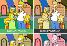 É dessa forma que as pessoas com diferentes graus de daltonismo veem o mundo