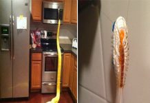 15 Imagens que vão causar um arrepio na sua espinha e fazer você perder o sono