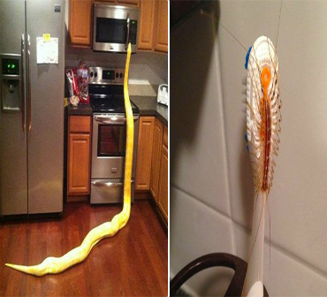 15 Imagens que vão causar um arrepio na sua espinha e fazer você perder o sono