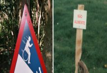 18 Placas de zoológico hilárias que possuem uma ótima história por trás