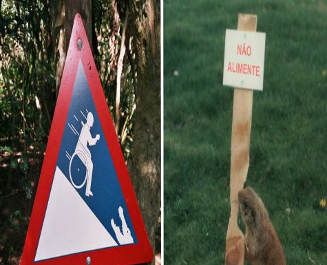 18 Placas de zoológico hilárias que possuem uma ótima história por trás