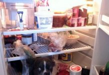 15 cães que não esperavam que seus donos chegassem tão cedo em casa