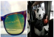 15 imagens estranhas e inesperadas que definitivamente você não vê todos os dias