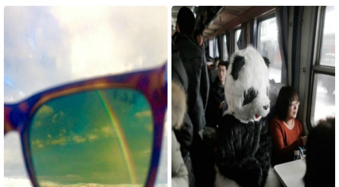 15 imagens estranhas e inesperadas que definitivamente você não vê todos os dias