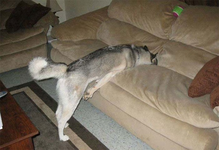 Não é permitido colocar as pernas no sofá