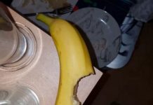 15 Tipo de pessoas que você NUNCA deve confiar