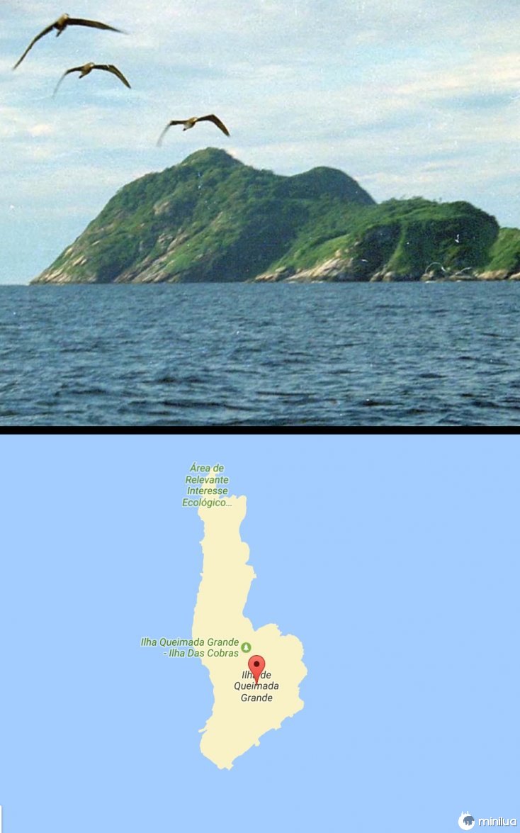 Isla da Queimada Grande
