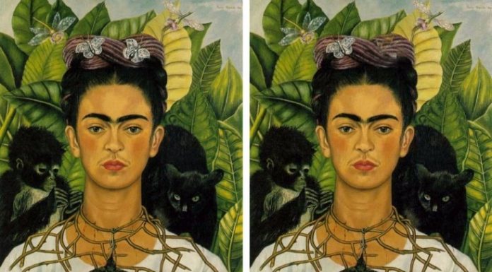 Teste visual: apenas 1 em 10 pessoas conseguem ver a diferença nessas 4 imagens