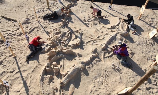 10 coisas mais estranhas e misteriosas já encontradas no deserto
