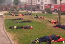Bombeiros portugueses caem no chão exaustos após lutarem contra incêndio por 24H