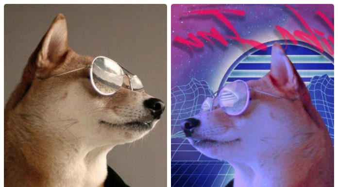 Esse cão de óculos e casaco deu inicio a uma hilária batalha de Photoshop