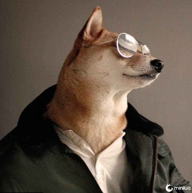 cão de Shiba no Battle of Photoshop