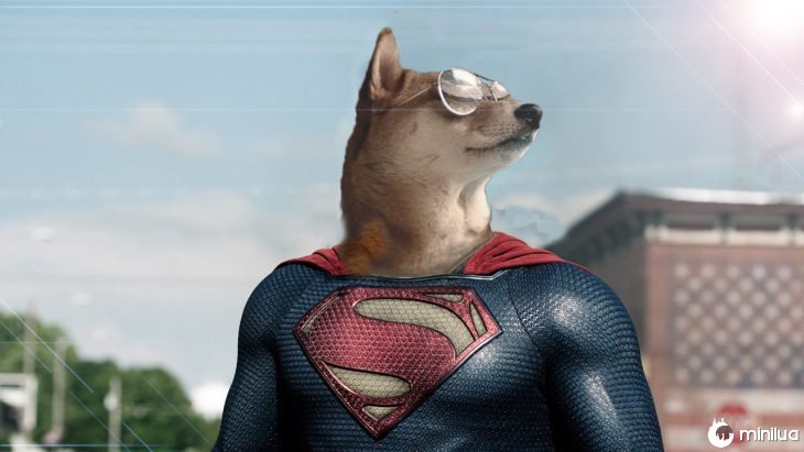 cão de Shiba no Battle of Photoshop