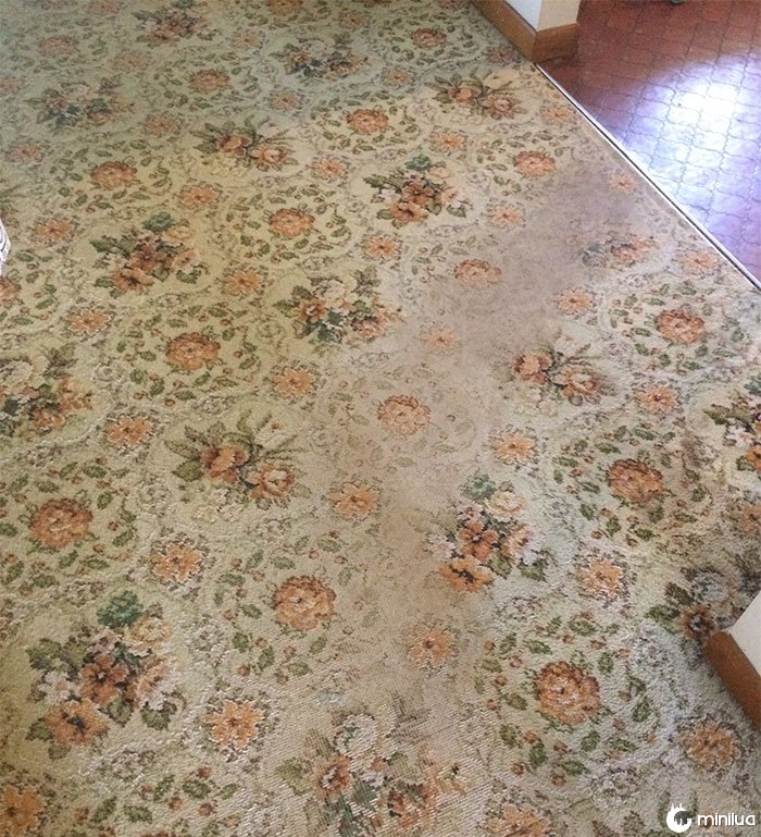 My Carpet Is From The 70s And Has Never Been Replaced. This Is The Fastest Way To The Food