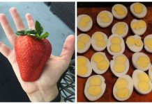 25 pessoas que certamente ganharam na loteria na hora de se alimentar!