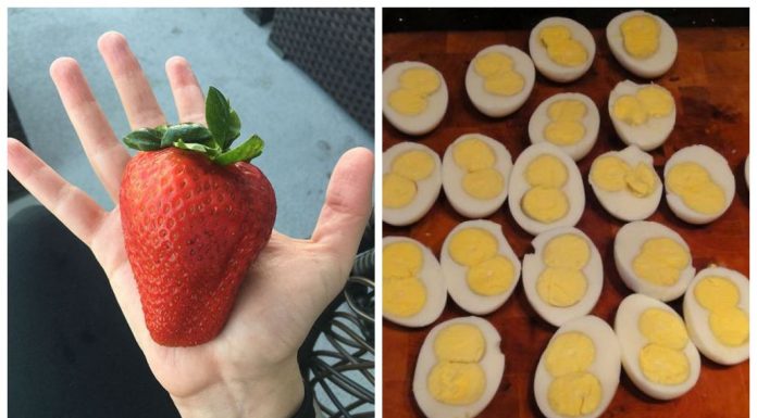 25 pessoas que certamente ganharam na loteria na hora de se alimentar!