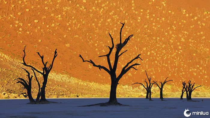 This Is Not A Painting: Namib-Naukluft National Park, Namibia