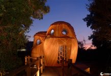Você pode dormir nessas cabanas de coruja na França de graça, e seu interior é tão bonito quanto o exterior