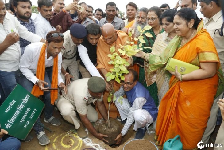 Plantan 66 millones de árboles en India