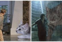 Alguém substituiu os dinossauros do parque jurássico por gatos e o resultado é hilário