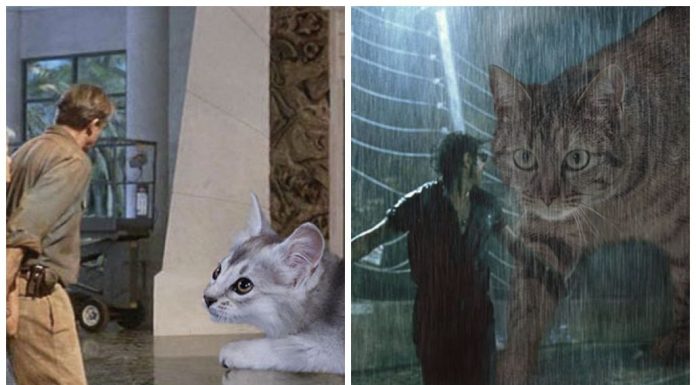 Alguém substituiu os dinossauros do parque jurássico por gatos e o resultado é hilário