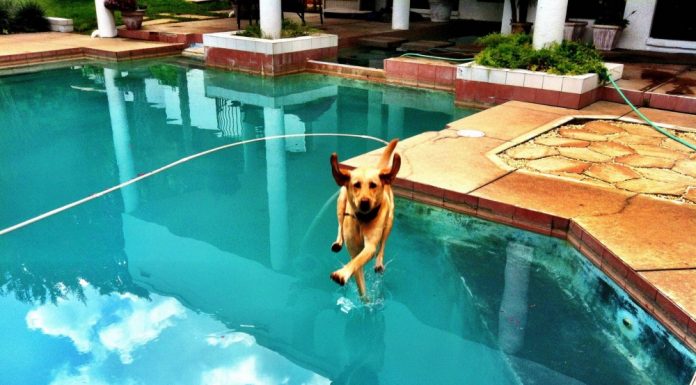 20 Imagens tiradas no momento exato!