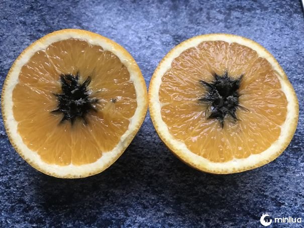 Eu cortei uma laranja para encontrar esta decadência negra vindo de seu centro