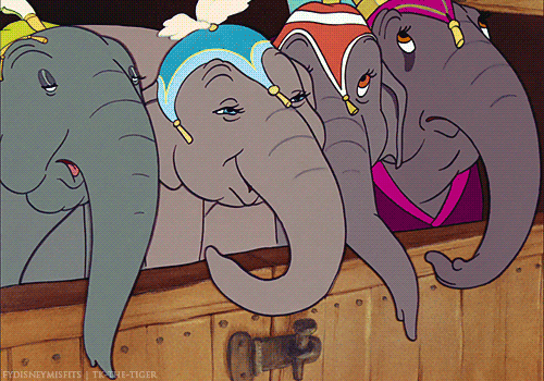 dumbo gif elefante