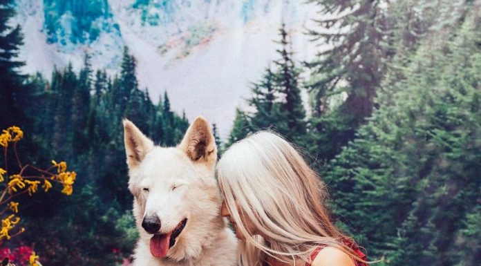 20 fotografias majestosas sobre a beleza dos animais resgatados do mercado negro