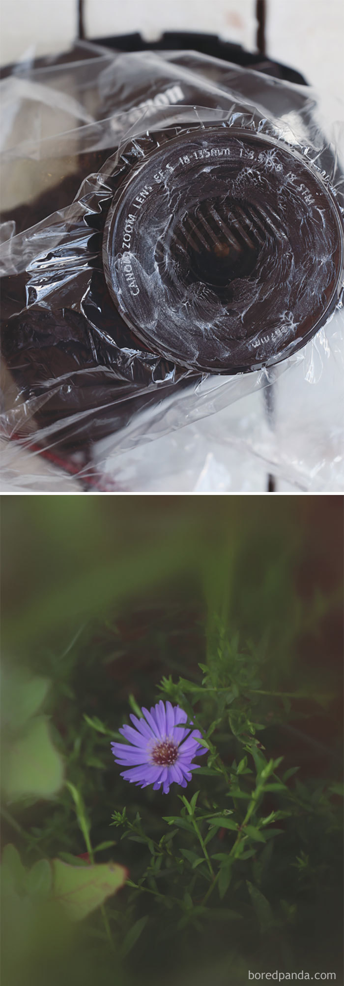 Use um saco de plástico manchado com vaselina para um efeito de lente de foco suave