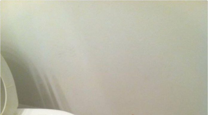 15 gatos do Tumblr tão hilários que você não vai conseguir segurar seu riso