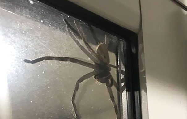 Esse casal não podia sair de casa e o motivo vai surpreender você