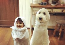 Esta pequena menina japonesa e seu animal de estimação farão seu dia muito melhor