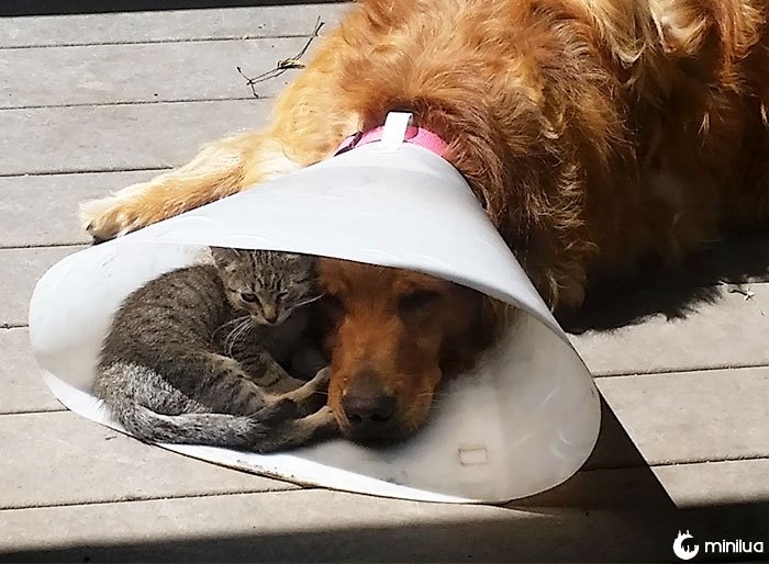 Nice To Have A Buddy When You're Down And Out