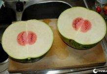 25 pessoas que definitivamente perderam na loteria na hora de se alimentar