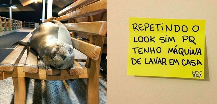 13 provas de que você é um jovem adulto de 80 anos