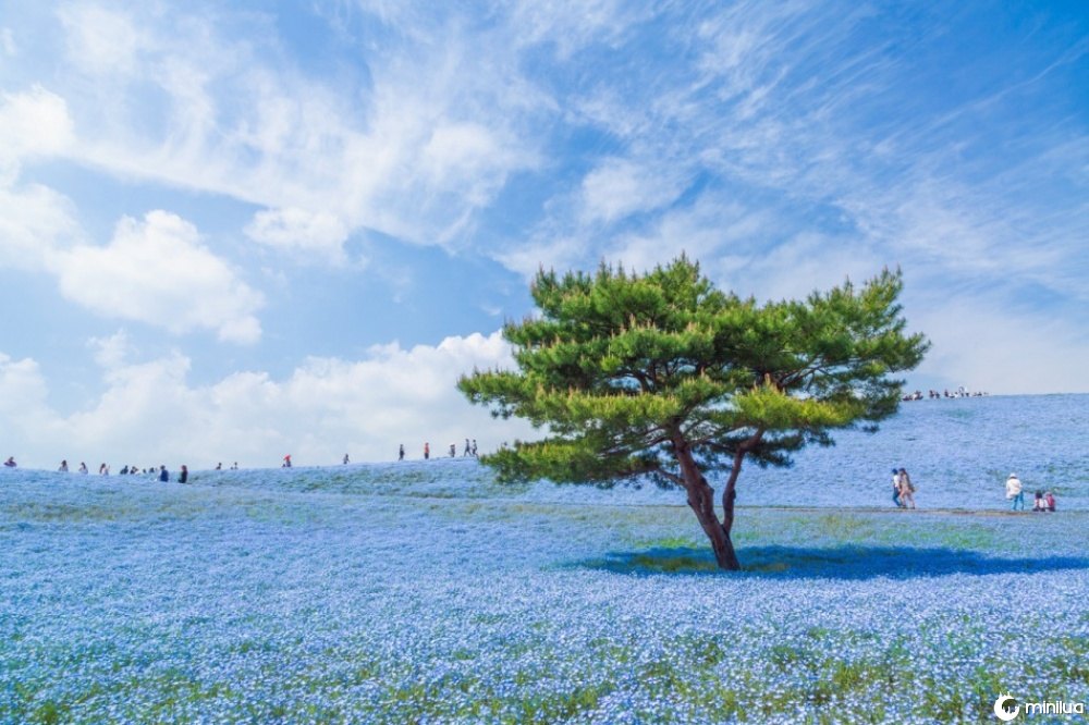 15 fotografias beleza do mundo 7