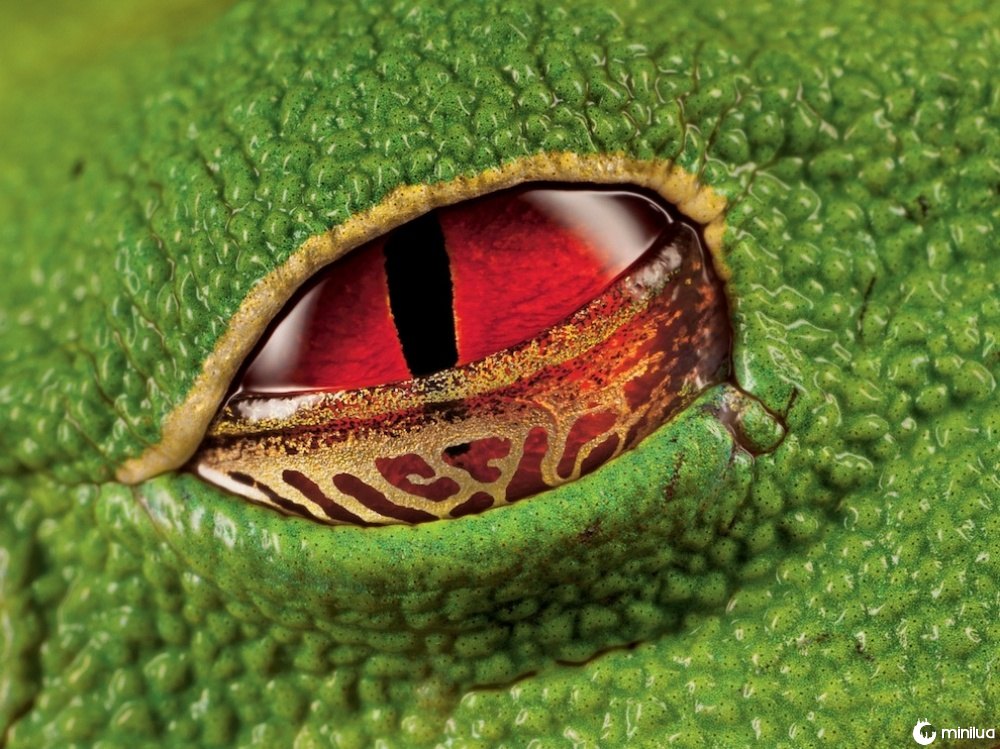15 fotografias de beleza do mundo 9