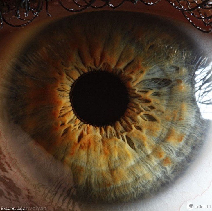 detalhe impressionante fotografia de um olho 