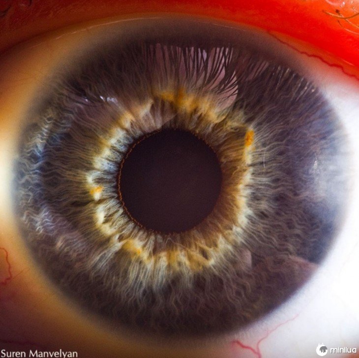 detalhe do interior de um olho, foto por Suren 